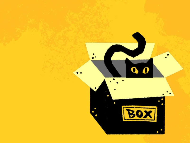 一只黑猫从写着 BOX 的纸箱里探出头，黄色背景。