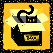 Box card art: a black cat peeking out of a cardboard box marked BOX on a yellow card.
